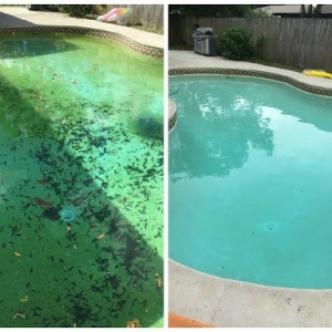 Photo of Pool Services and Cleaning