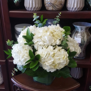 Photo of Eden Flowers