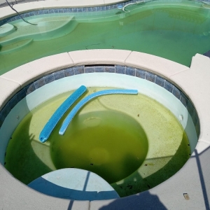 Photo of Pool Kings
