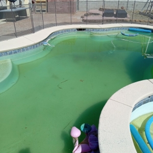 Photo of Pool Kings