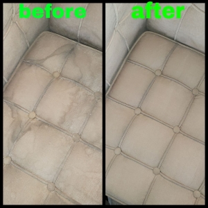 Photo of Filthy 2 Clean Steam Team Carpet & Upholstery Cleaning Chicago