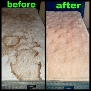 Photo of Filthy 2 Clean Steam Team Carpet & Upholstery Cleaning Chicago