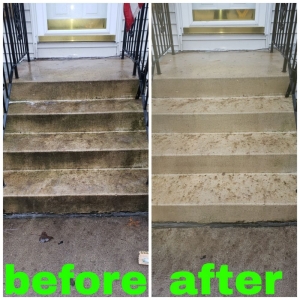 Photo of Filthy 2 Clean Steam Team Carpet & Upholstery Cleaning Chicago
