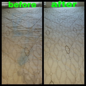 Photo of Filthy 2 Clean Steam Team Carpet & Upholstery Cleaning Chicago