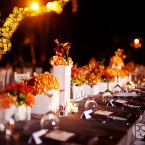 Miami Masi Events
