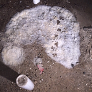 Photo of KKC Environmental Solutions