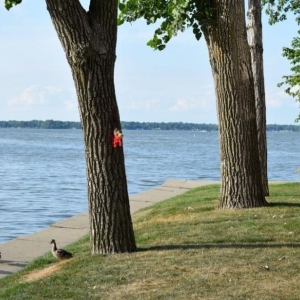 Photo of Kris Suerdick | Indian Lake Properties