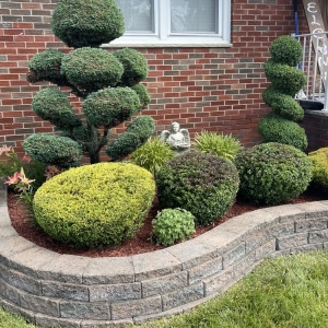 Photo of Mountain Ridge Landscaping Maintenance & Design