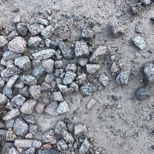 Photo of Rock Hard Landscape Supply