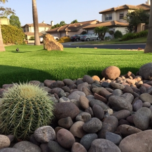 Photo of Quality Turf & Landscape