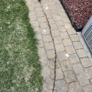 Photo of Perfect Fence