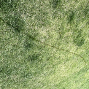 Photo of Perfect Fence
