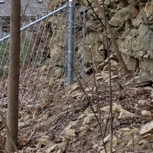 Photo of Perfect Fence