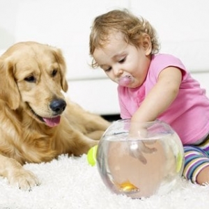 Photo of Pro Kleen Carpet Cleaning San Diego