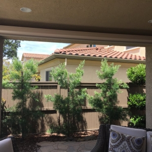 Photo of Best Blinds & Tinting