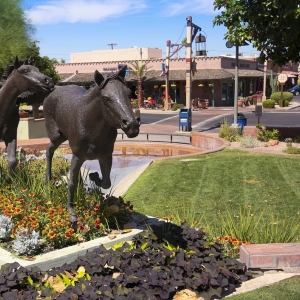 Photo of Phil Reese, Arizona Business Broker