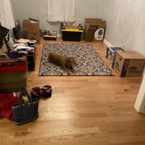 Photo of High Definition Wood Floors
