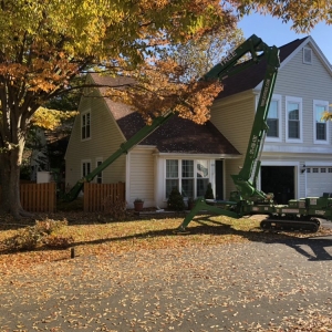 Leesburg Triple H Tree & Excavating