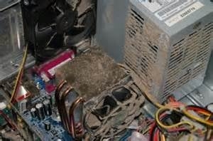 Photo of Your Computer People