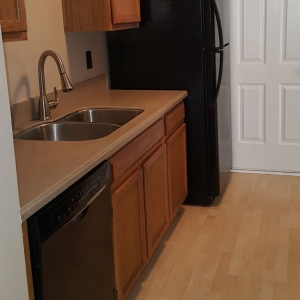 Photo of Action Cleaning Service