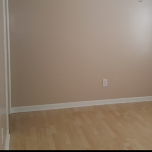 Photo of Action Cleaning Service