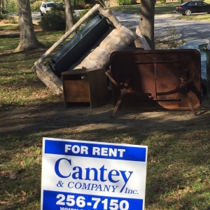 Photo of Cantey & Company