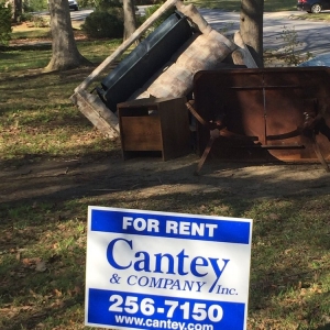 Photo of Cantey & Company