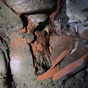 Photo of Sewer & Pipeline