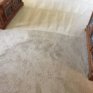 Photo of Capital Carpet Cleaning