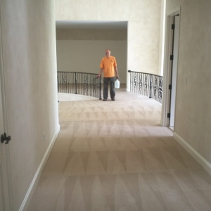 Photo of Capital Carpet Cleaning