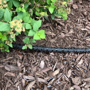 Photo of ABC Co., Landscaping