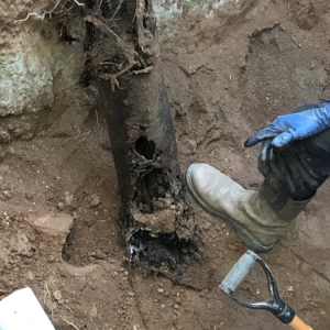 Photo of Plumb Doctor