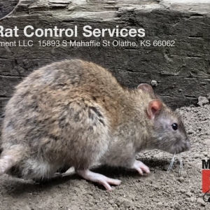 Photo of Midway Pest Management