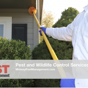 Photo of Midway Pest Management