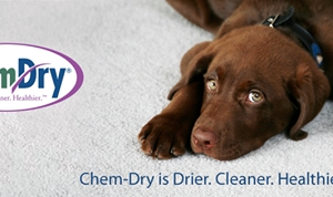 Photo of Chastain Chem-Dry