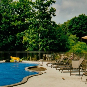 Photo of Protection Fence