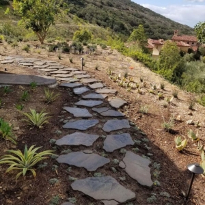 Photo of San Diego Landscaping