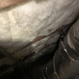 Photo of Clean crawl space