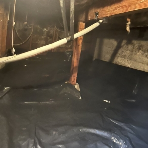 Photo of Clean crawl space