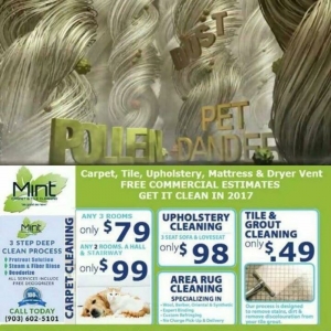 Photo of Mint Carpet Care