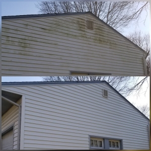 Photo of Peaks & Streaks Roof and Exterior Cleaning