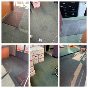 Photo of Todd Carpet Cleaning