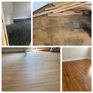 Photo of Todd Carpet Cleaning