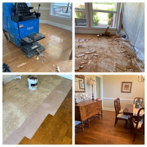 Photo of Todd Carpet Cleaning