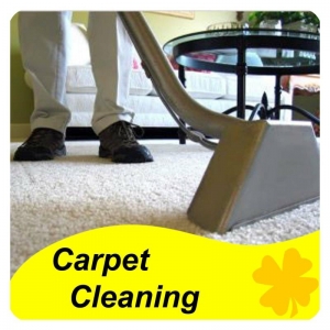 Photo of Craig's Carpet Tile Grout Cleaning