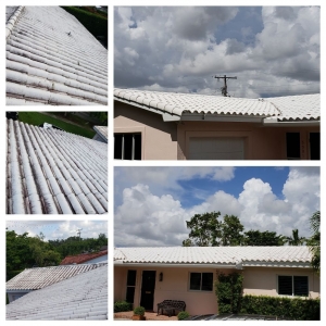 Miami A1 Pro Pressure Cleaning