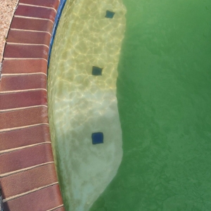 Photo of RPoolGuy