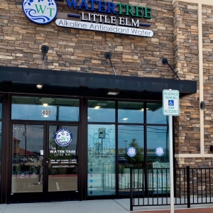 Photo of The Water Tree Little Elm