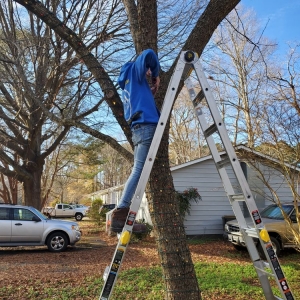 Photo of S&A Lawn Care Services