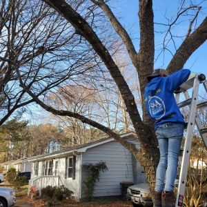 Photo of S&A Lawn Care Services
